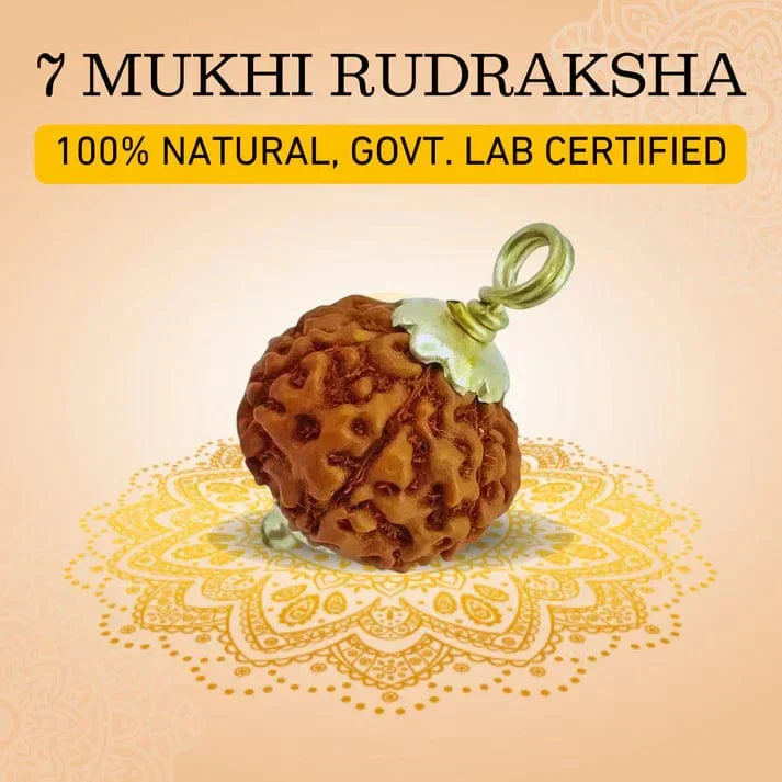 7 Mukhi Rudraksha Silver Capped Pendant